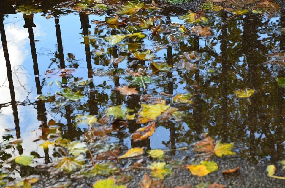 осень плачущее небо. природа плачет. осень плачущее небо. осень плачущее небо. в лужах разлетаются птицы с облаками.