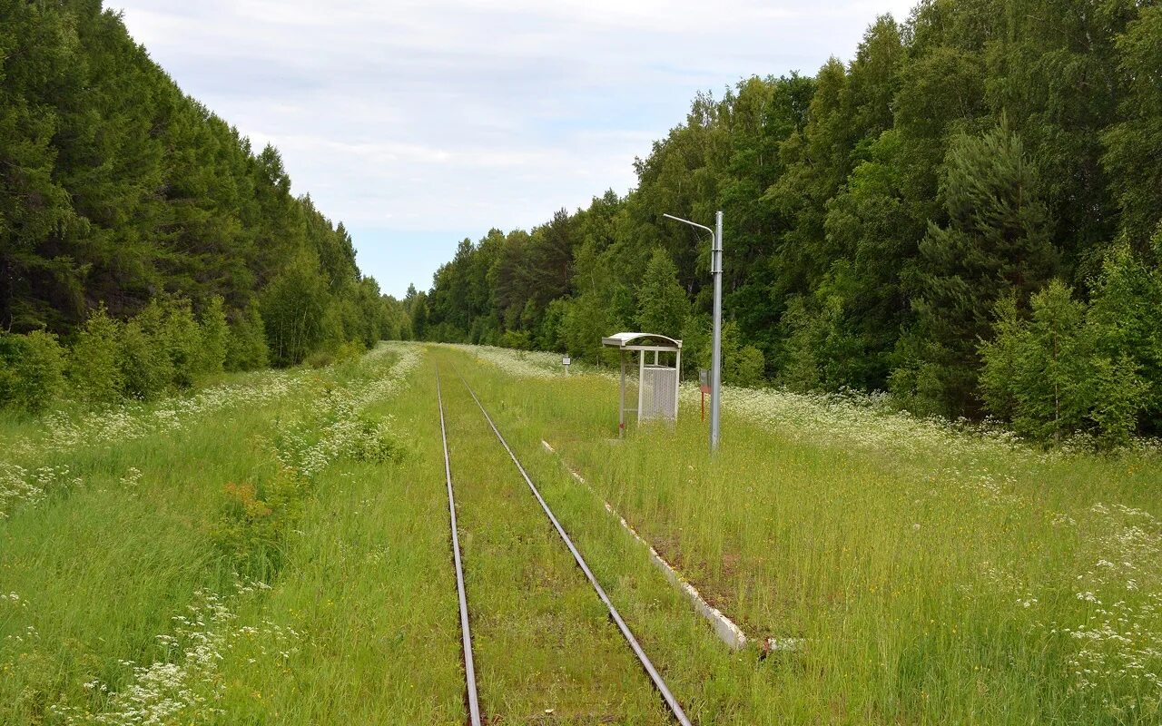 Поезд в глуши. Глухомань лес. Савеловская глухомань схема. Дорогами глухомани. Деревня сибирской глубинки.