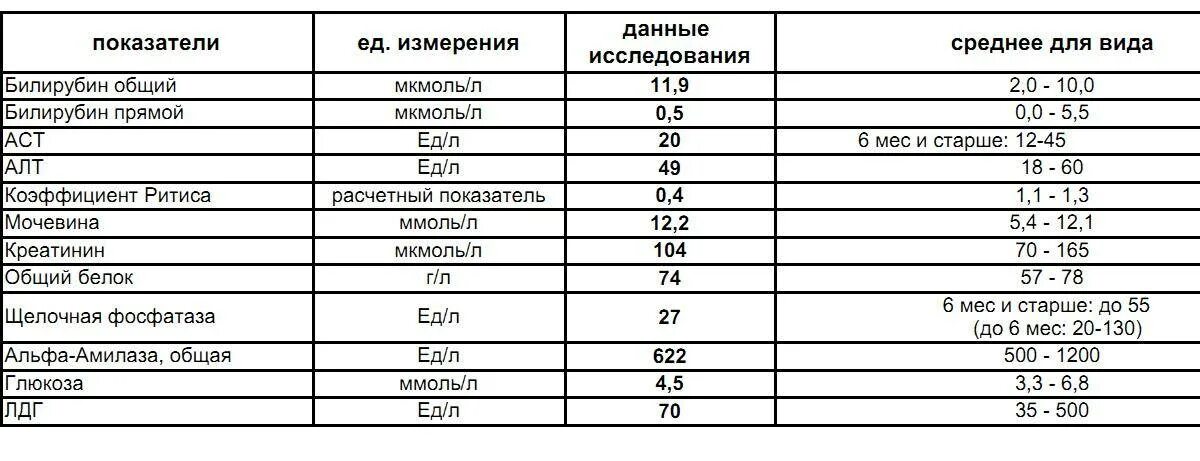 Нормы показателей печени в биохимическом анализе крови. Анализ крови печеночные показатели норма. Показатели печени у беременных норма. Показатели анализа крови при заболевании печени. Алт и аст повышены билирубин в норме