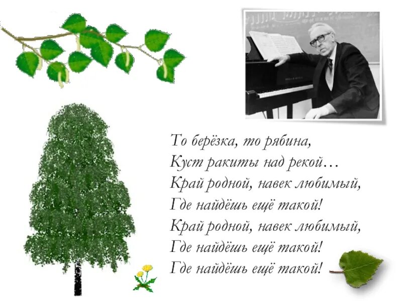 То береза,то рябина- куст рахита над рекой. Слова песни то Березка то рябина. Край родной текст.