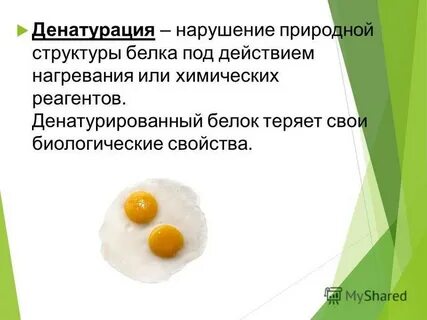 Биологическая денатурация