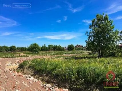 Полянское ленинградская область