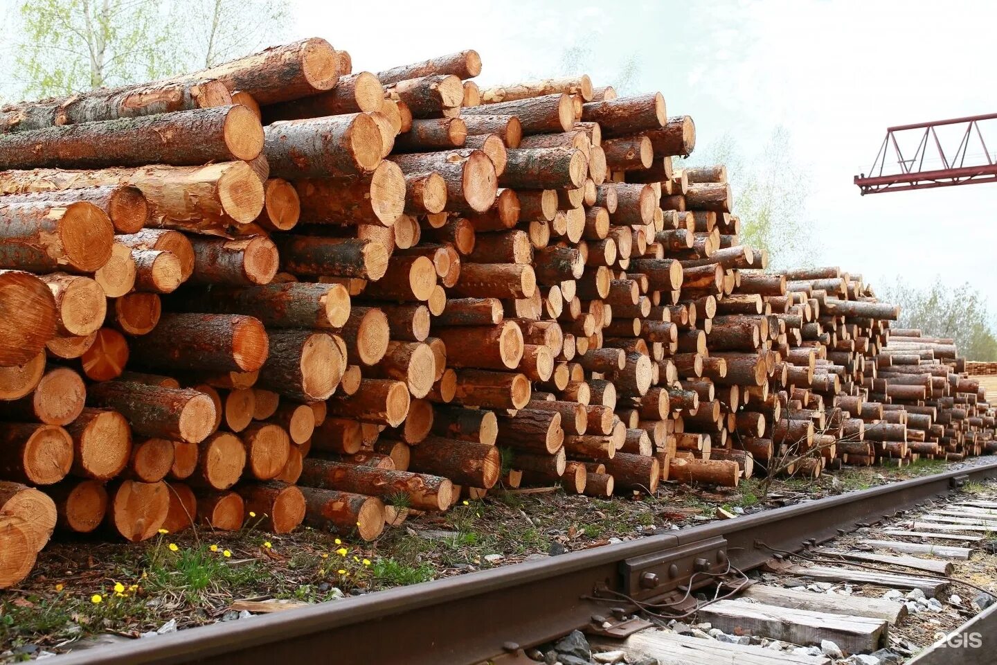 Лесоматериалы. Древесина в строительстве. Лес пиломатериалы. Дерево строительный материал. Стройматериалы дерево.