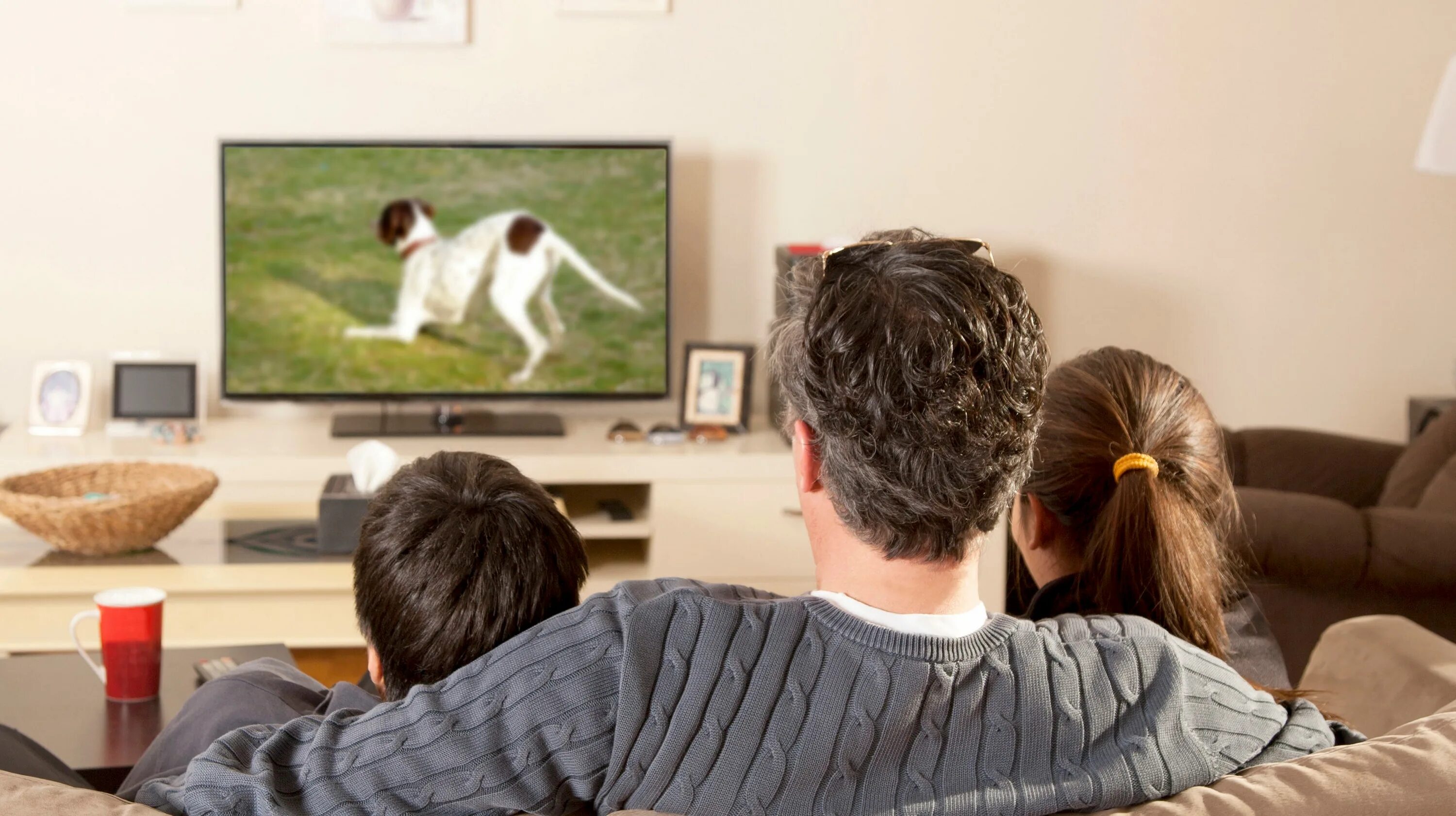 Подростки смотрят телевизор. Телевизор. Семья у телевизора. Человек телевизор. Человек перед телевизором.