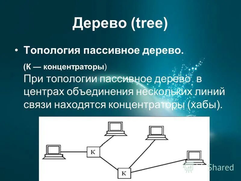 Пассивная база. Древовидная топология локальной сети. Топология дерево. Топология пассивное дерево. Топология сети дерево.