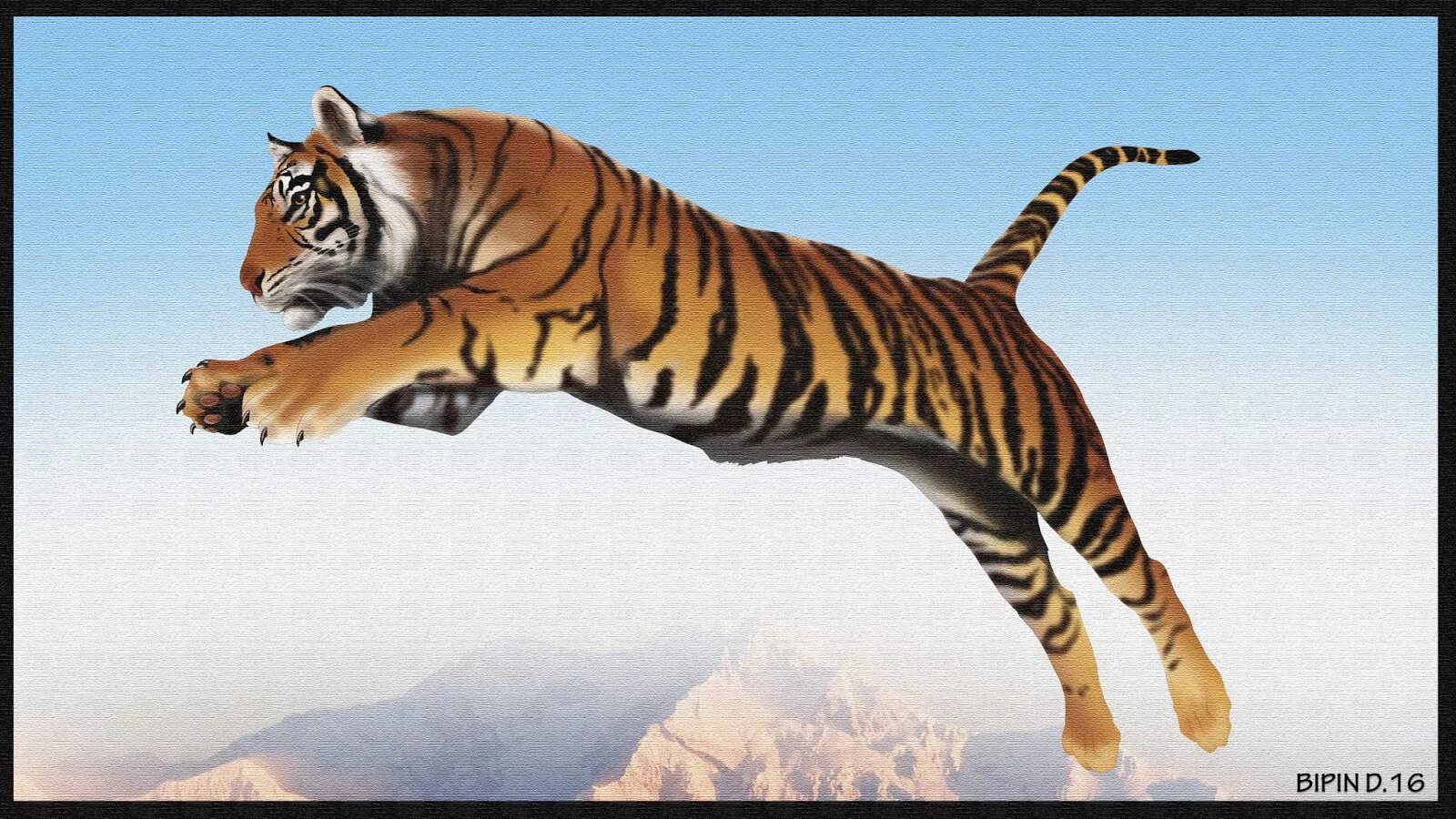 Тигр прыгает. Животные дв. Тигр прыгает. Тигр. Курильский тигр.