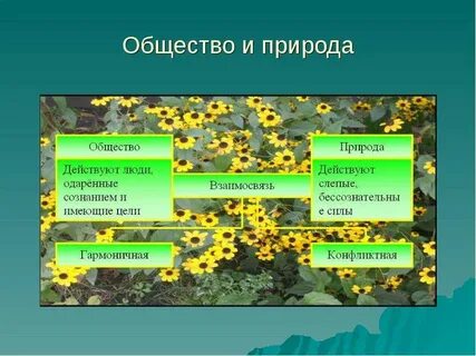 Природа это определение обществознание