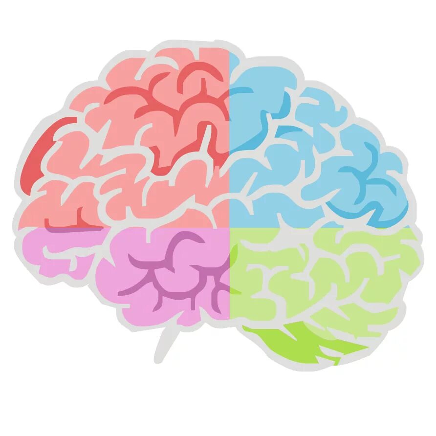 Color brain. Мозг мозаика. Мозг из цветных линий.