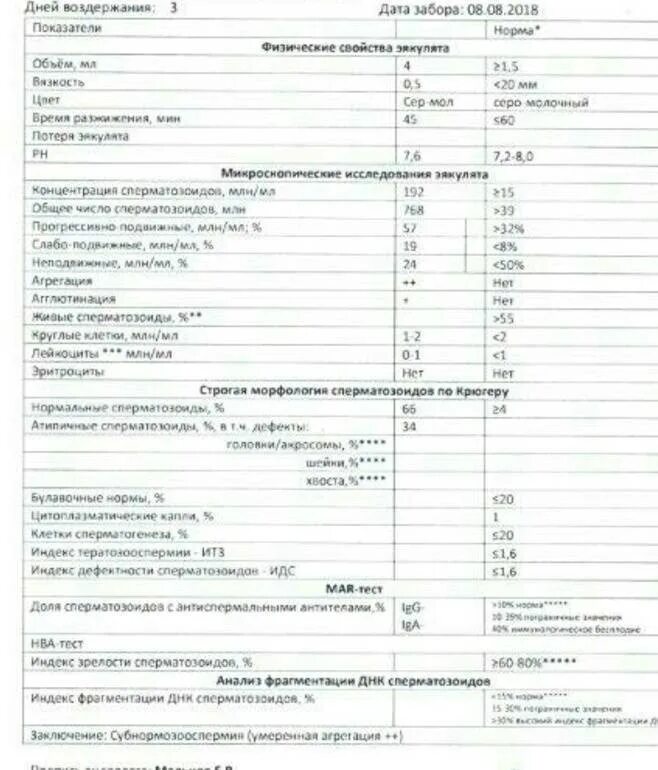 Лечение днк фрагментации. Расшифровка фрагментации днк спермограммы. фрагментация спермограммы днк расшифровка анализа. оценка фрагментации днк спермограммы расшифровка. норма показателей фрагментации днк спермограммы.