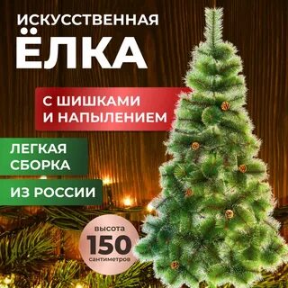 Сосна 150 150