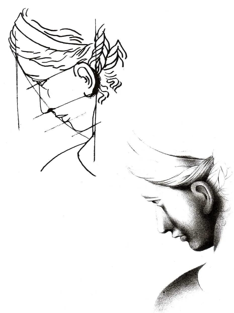 Профиль человека рисунок. Монтаж стартового профиля сайдинга. Этапы рисования портрета человек. Мужчина рисунок карандашом. Рисование в профиль.