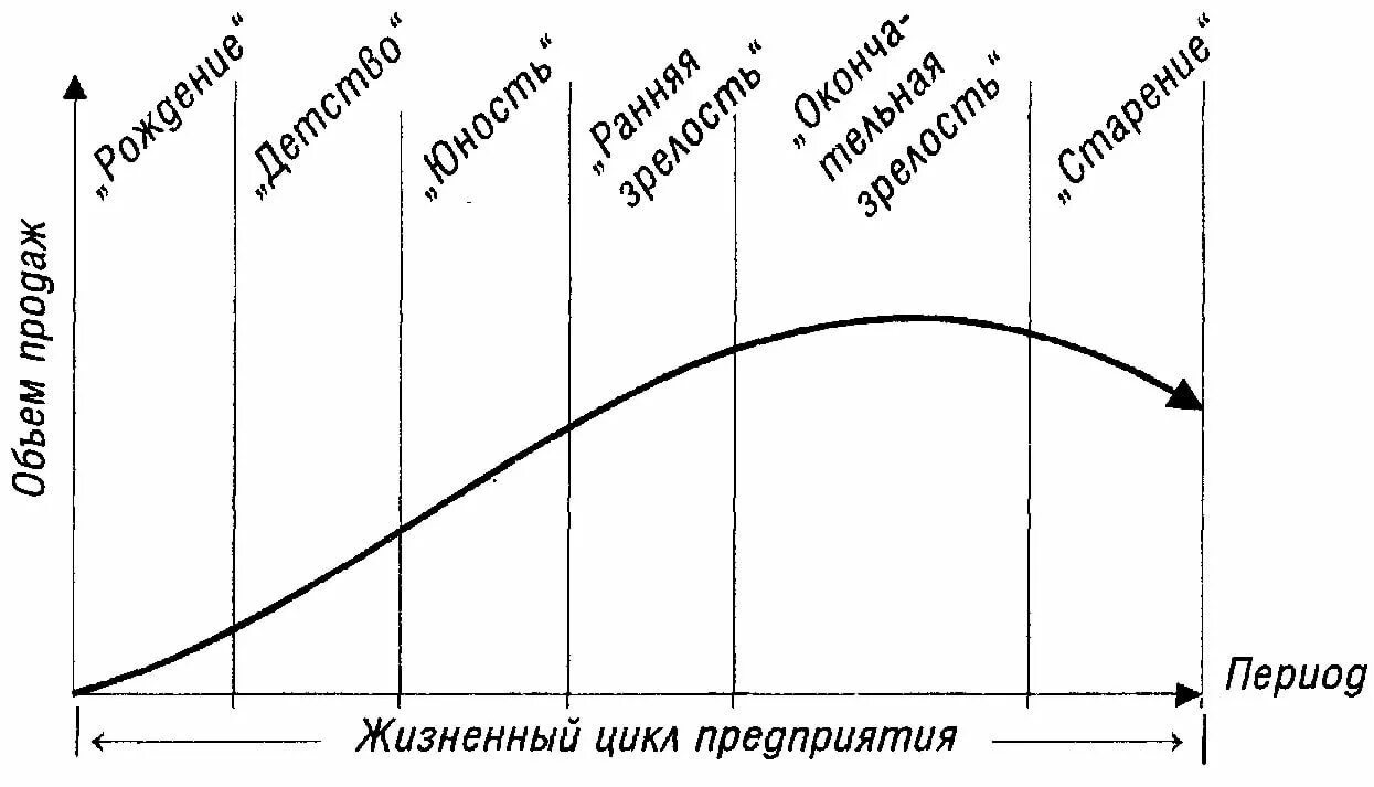 Жизненные стадии компании