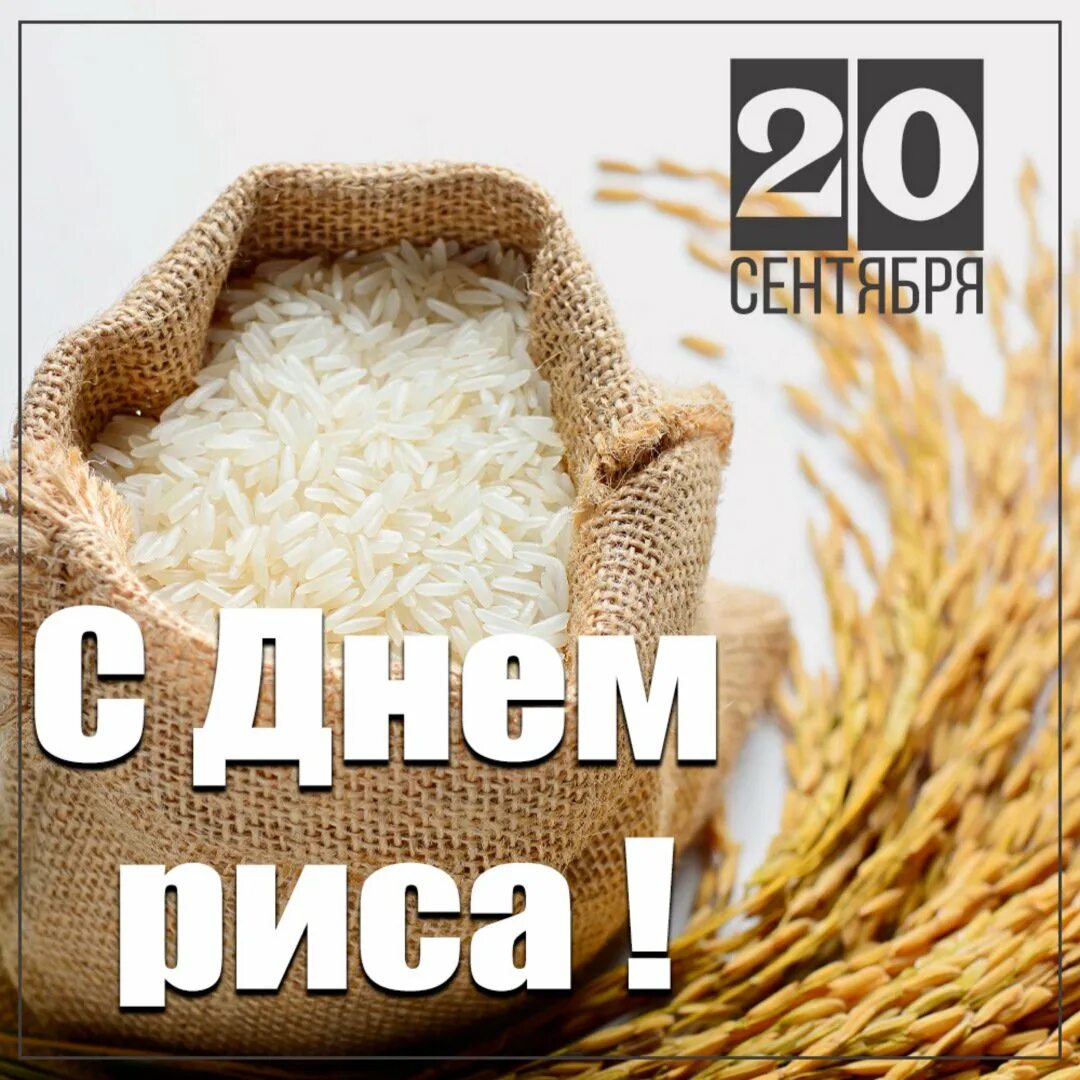 Rice 20. Всемирный день риса. Международный день риса 20 сентября. Джолоф. День рисового пудинга 9 августа картинки поздравления.