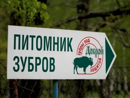 Питомник зубров