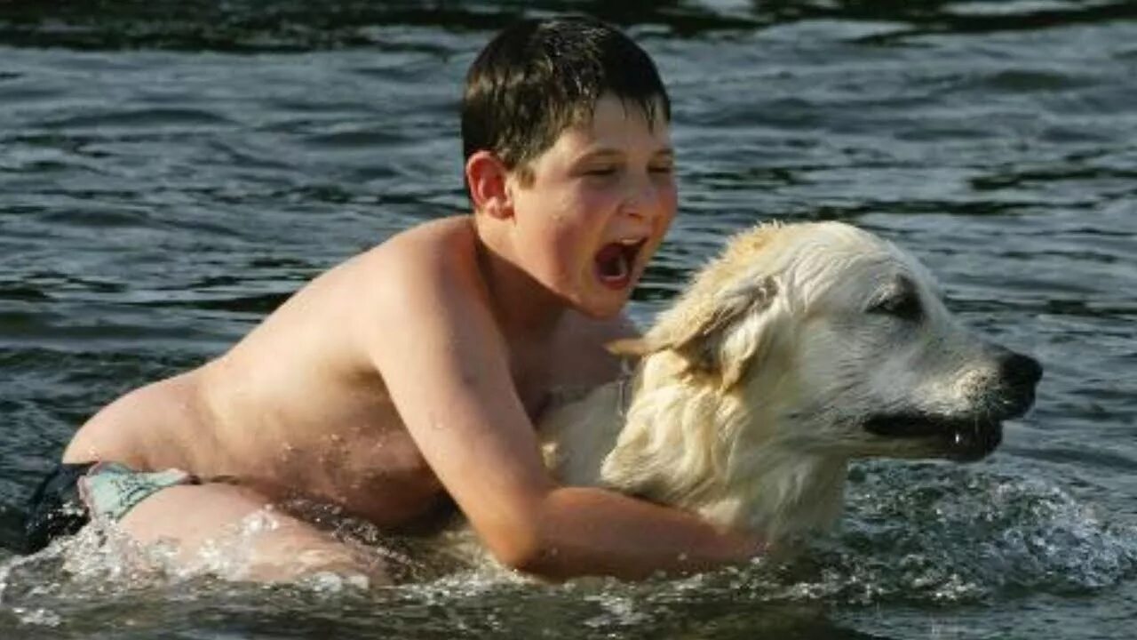 Спасутся люди видео. Мальчик спасает собаку из воды. Собака спасает человека из воды. Собака спасает тонущего человека.