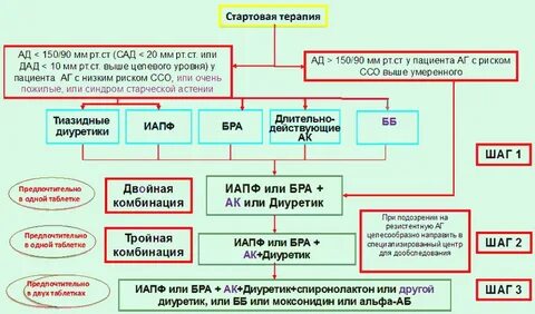 Вторичные артериальные гипертензии клинические рекомендации