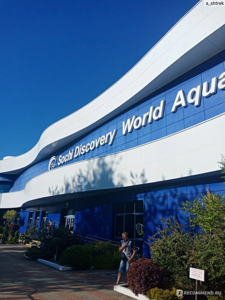 Дискавери сочи. Sochi Discovery World Aquarium, Сочи. Курортный городок Адлер океанариум. Океанариум Сочи Ленина 219а/4. Sochi Discovery World Aquarium ул. Ленина, 219а/4, Сочи.