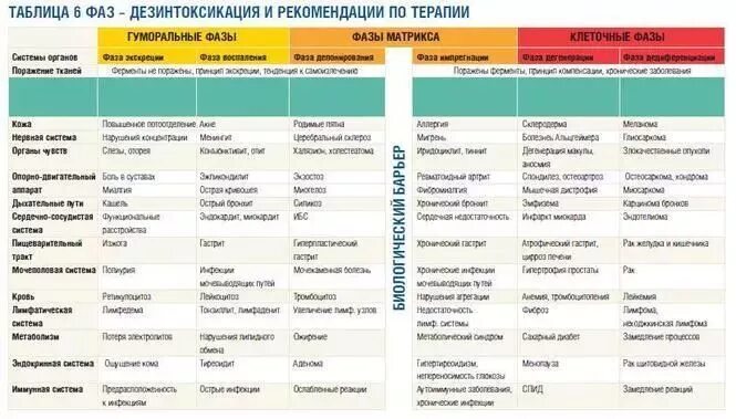 Таблица 6 фаз гомотоксикоза по реккевегу. Таблица развития заболевания. Таблица 6 фаз гомотоксикоза. Таблица 6 фаз гомотоксикоза. Таблица шести фаз гомотоксикоза.