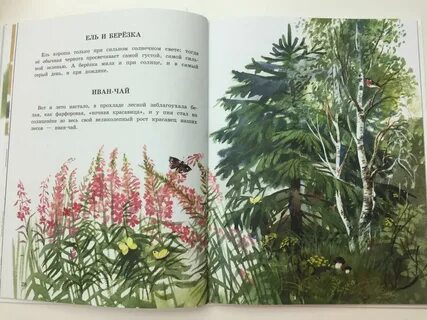 Пришвин шел