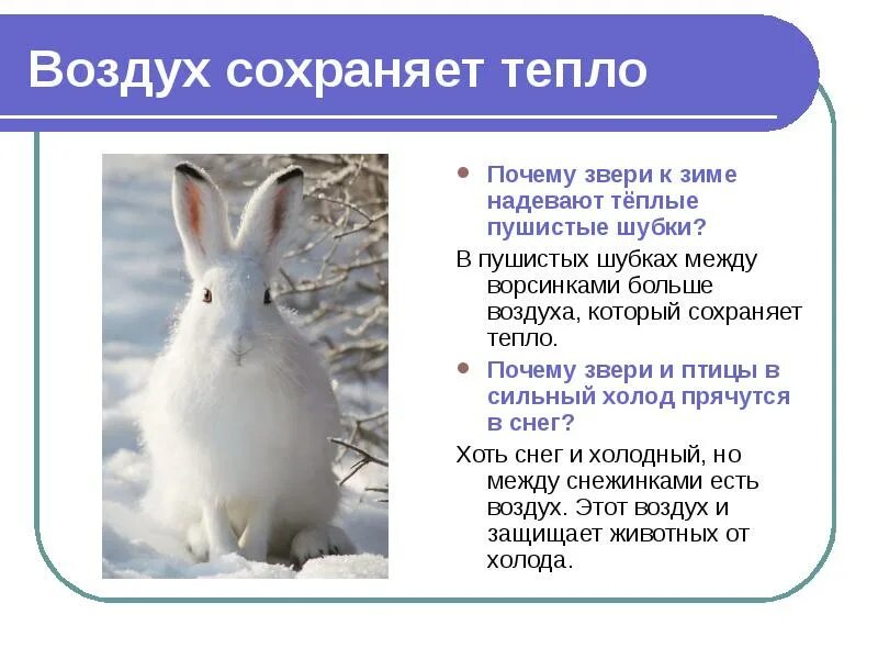 Что хорошо сохраняет тепло