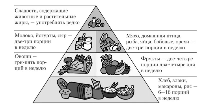 Современный рацион современного человека. Правильное питание. Пищевое рсцион человек. Неправильное питание. Пищевой рацион.