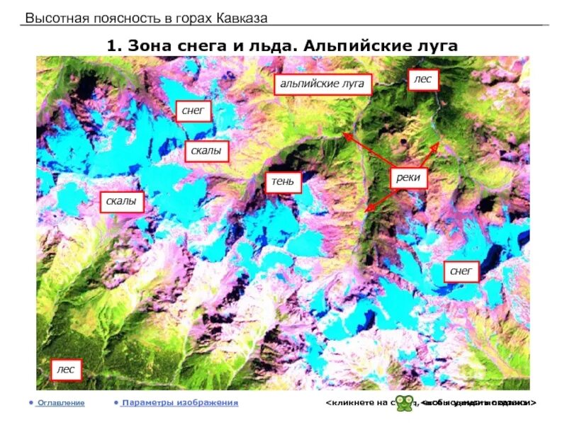 Кавказ Высотная поясность в горах Кавказа. Карта ВЫСОТНОЙ поясности Кавказа. Высотная поясность в горах. Высотная поясность Альпийские Луга. На какой высоте расположен субальпийский пояс кавказ