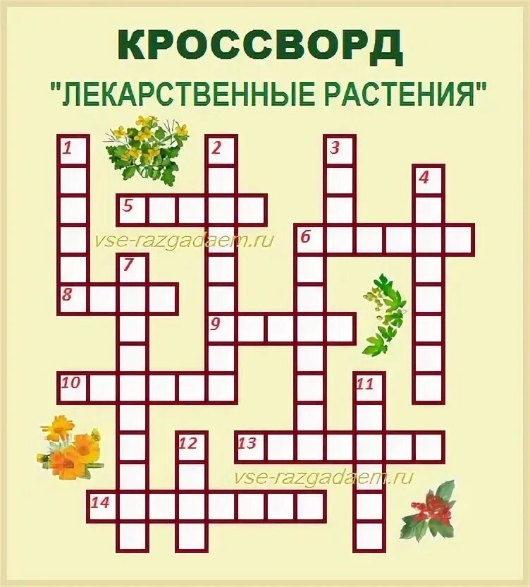 Кроссворд на тему растения. Кроссворд на тему лекарственные растения. Кроссворд на тему лечебные растения. Кроссворд лекарственные растения с ответами. Комнатное растение 7 букв сканворд на д