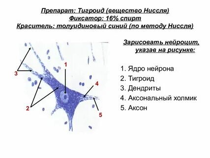 Вещество препарат
