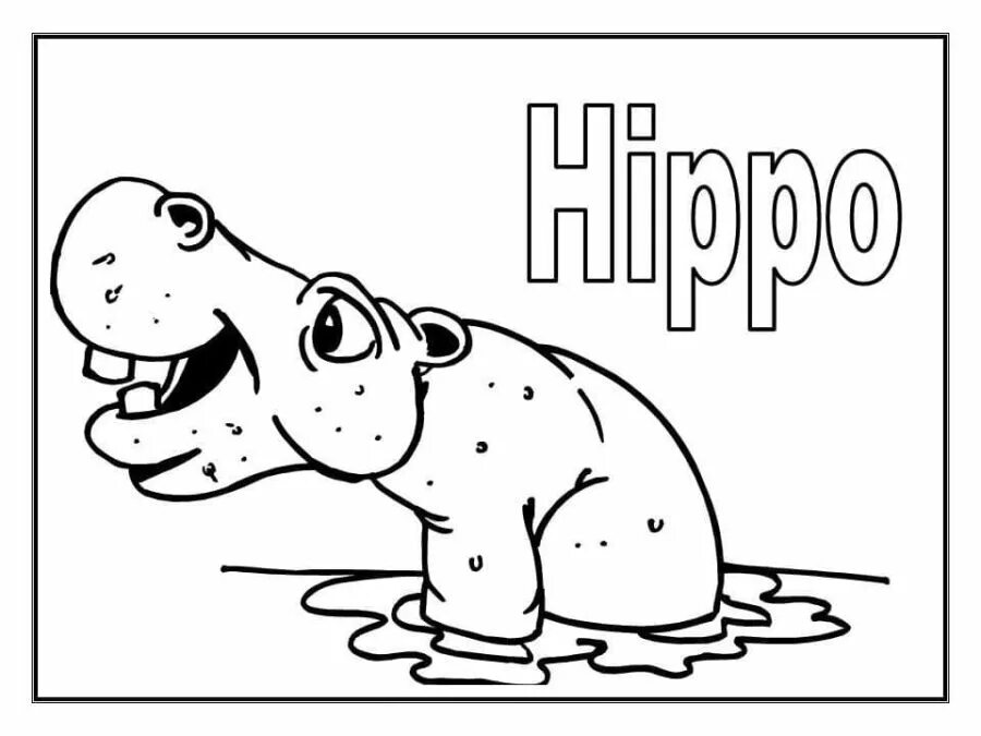 Бегемот по английски. Hippo карточка для детей. бегемот на англ. гиппопотам на английском раскраска. hippo на английском языке.