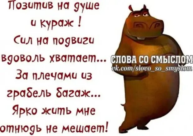 Войти в кураж. Кураж статус. кураж картинки прикольные. кураж,.... цитаты смешные. афоризмы про кураж.