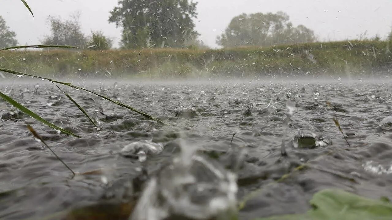 Какая вода жесткая речная или дождевая почему. Дождь на реке. Рыбалка под дождем. Рыбалка в дождь. Дождь река рыбалка.