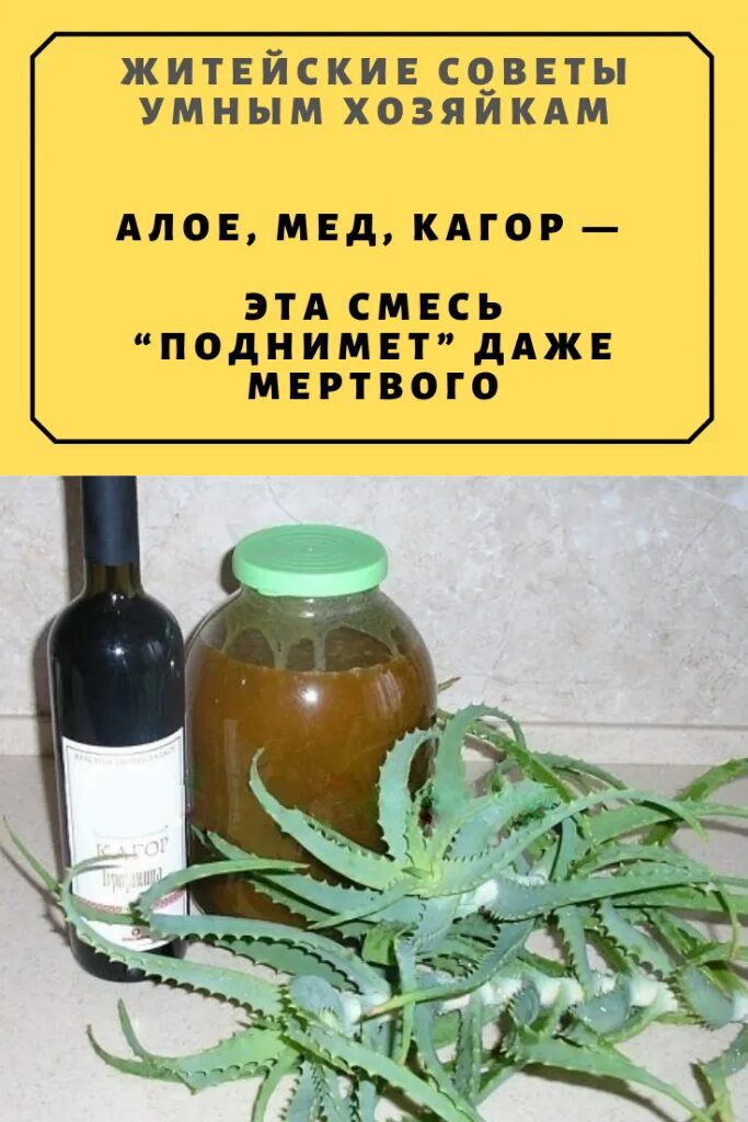 Столетник с медом и кагором. Смесь алоэ меда и кагора. Алоэ мед кагор. Алоэ мед кагор эта смесь. Рецепт настойки алоэ кагор