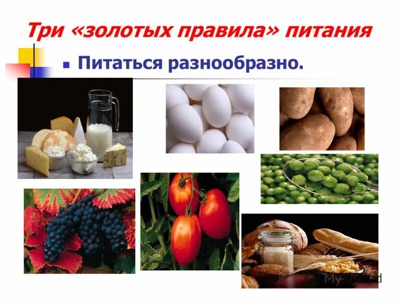 Назовите продукты общества