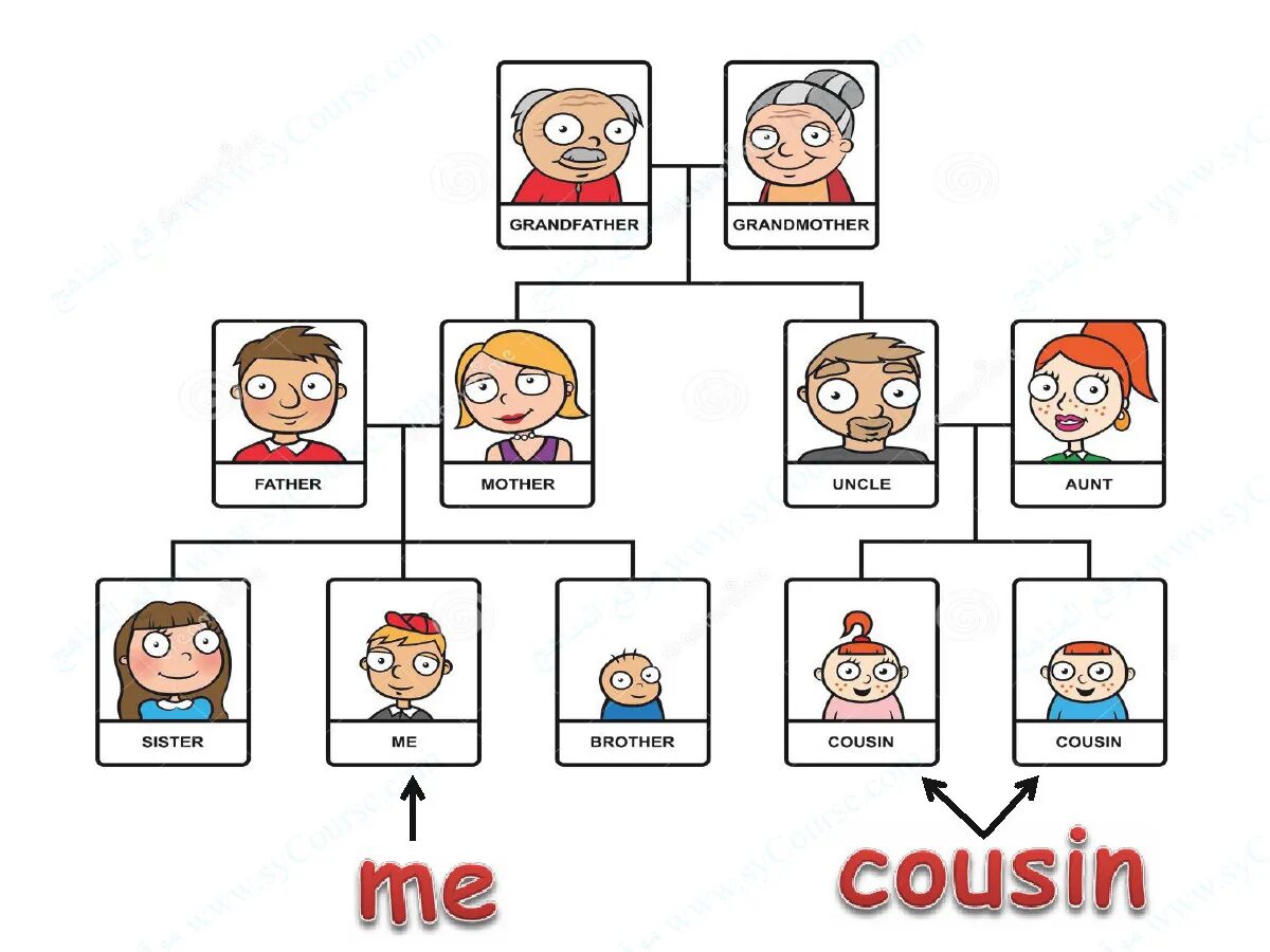 муж двоюродной сестры. семья на английском языке. как на английском будет сестра. двоюродный на английском. двоюродный по английски транскрипция.