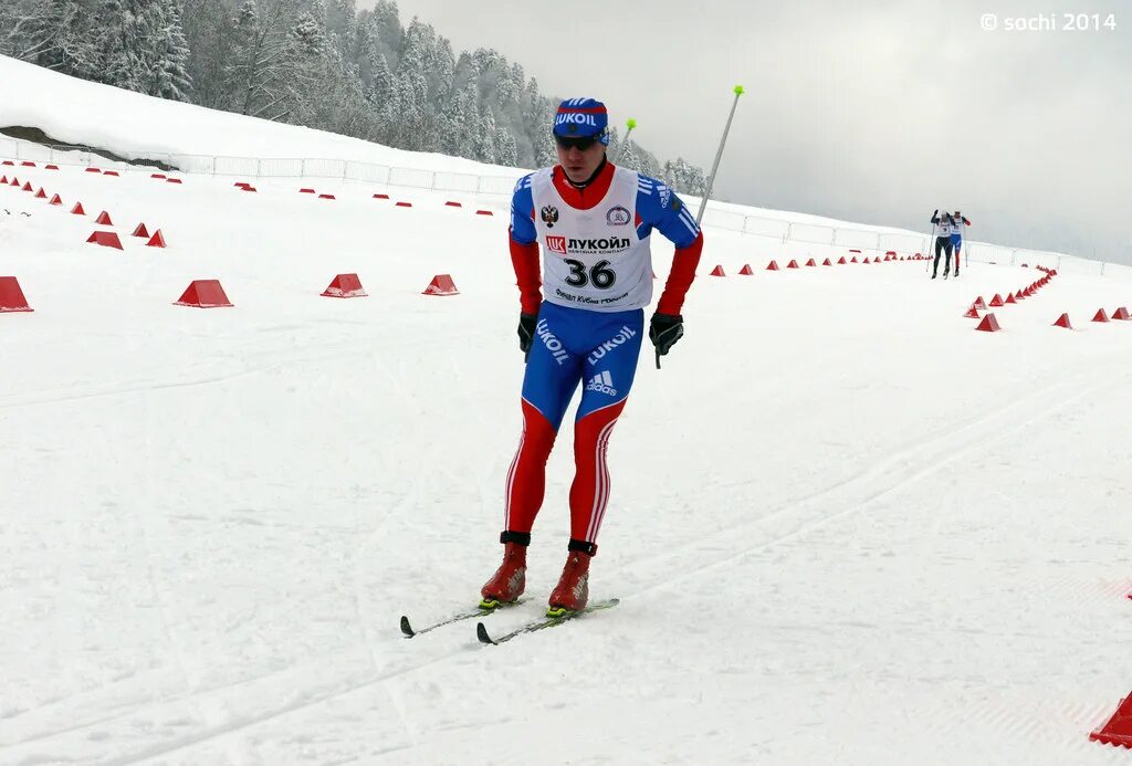 Sochi 2014 Cross Country Skiing. Лыжные гонки. Соревнования в Сочи по лыжным гонкам. Лыжные гонки расписание трансляций по телевизору сегодня