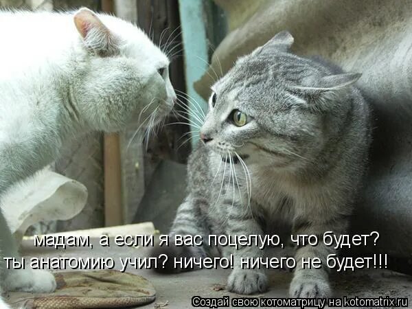 Хватит наезжать на меня. Самые интересные факты в картинках. Наезжаешь на меня. Не знали что наехали на смотрящего. Дпс череповец.