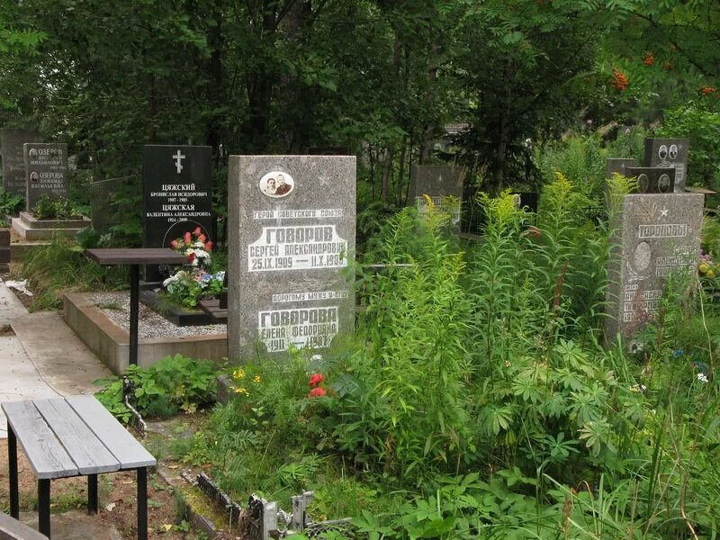 Памятники северного кладбища в санкт-петербурге. Парголово северное кладбище. Парголово северное кладбище. Северное кладбище санкт-петербург. С петербург северное кладбище.