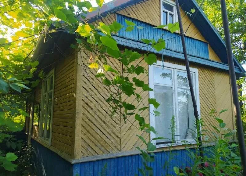 Дача витебск