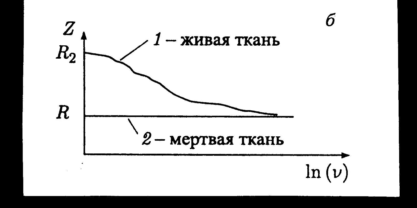 Значение импеданса. График дисперсии импеданса живой ткани. частотная зависимость импеданса тканей. график зависимости импеданса живой ткани организма от частоты. импеданс мертвой ткани.