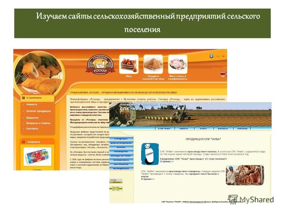 Сайт спк. Сайты сельхозпродукции. сельхозкооперации. образцы сайтов для сельхозпродукции. спк.