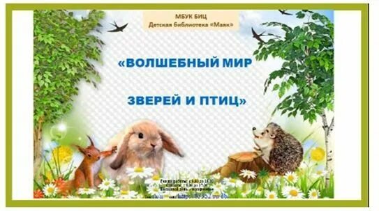 Волшебный мир зверей и птиц. Чудесный мир животных. Выставка Волшебный мир зверей и птиц. Чудесный мир животных надпись. Моя новая жизнь в мире зверей читать