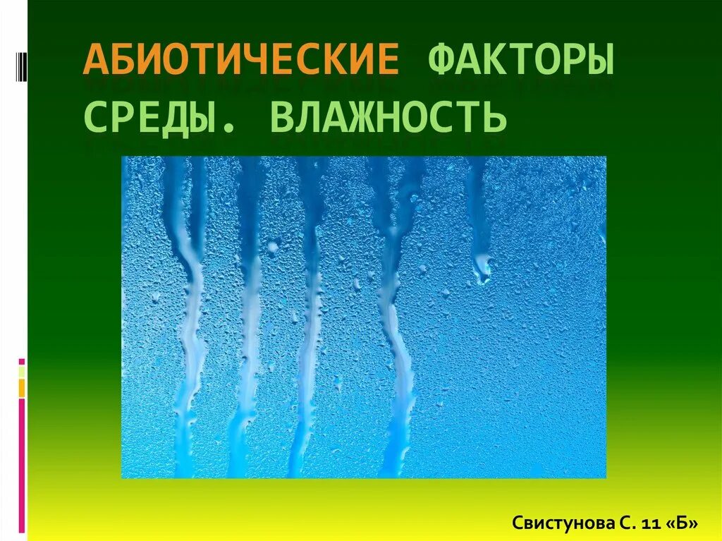 Факторы среды вода влажность. Абиотические факторы влажность. Абиотические факторы влага. Экология влажность. Абиотические факторы среды влажность.