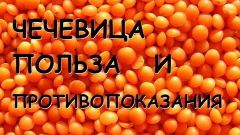 Чечевица вред