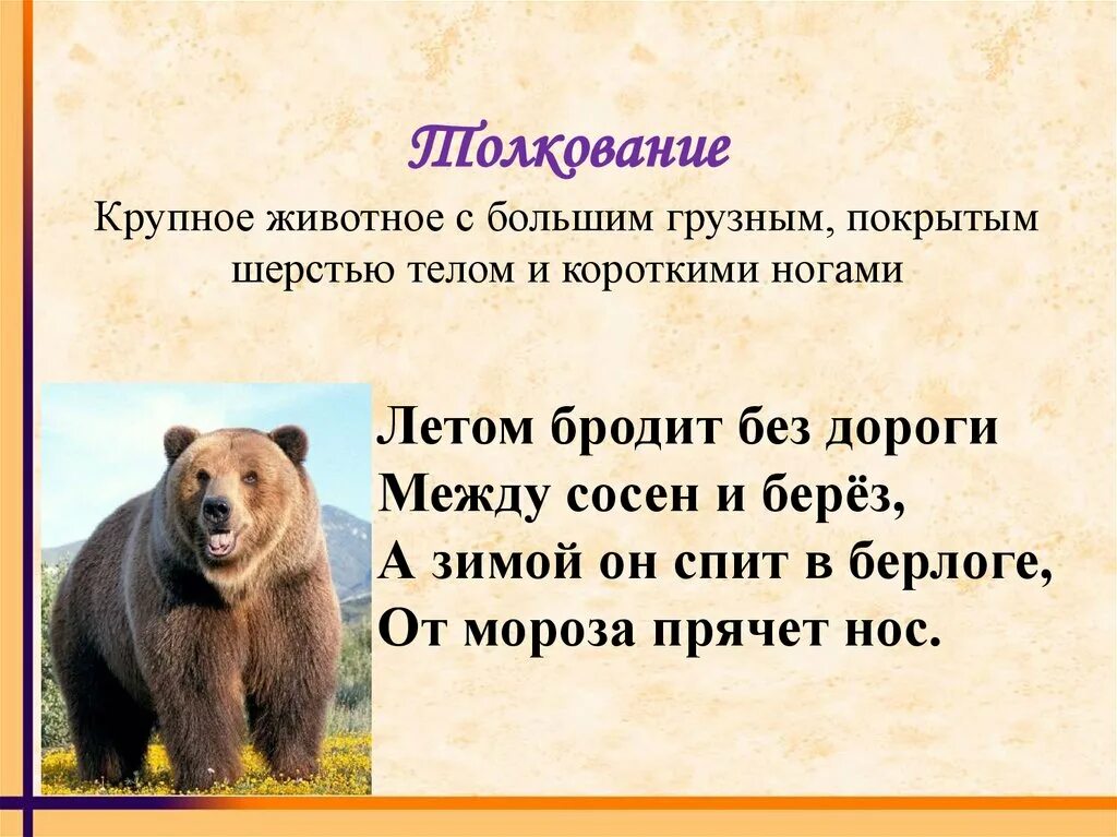 Медведь какой слова признаки. Медведь для презентации. Слово медведь. Словарное слово медведь. Лексическое слово медведь.