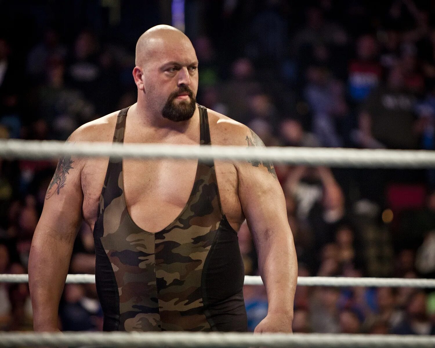 Big show 2. Big show рестлер. биг шоу wwe. биг шоу сейчас. биг шоу в молодости.