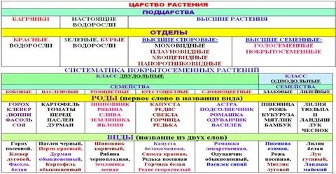 Рассмотрите таблицу биологические методы
