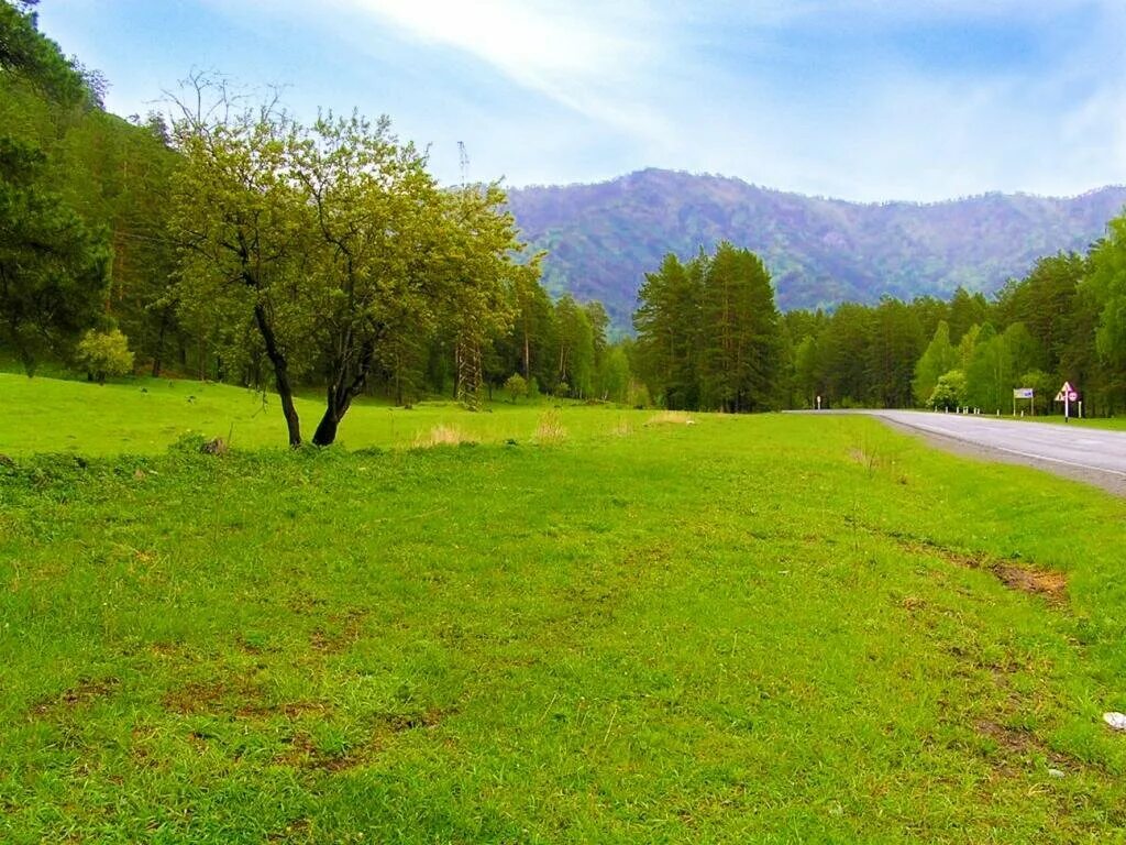 земельный участок в горном. нижний куюм горный алтай. куюм горный алтай. земельный участок в горном. участок в горном алтае.