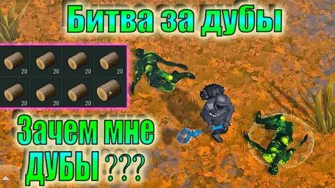 Дуб дей