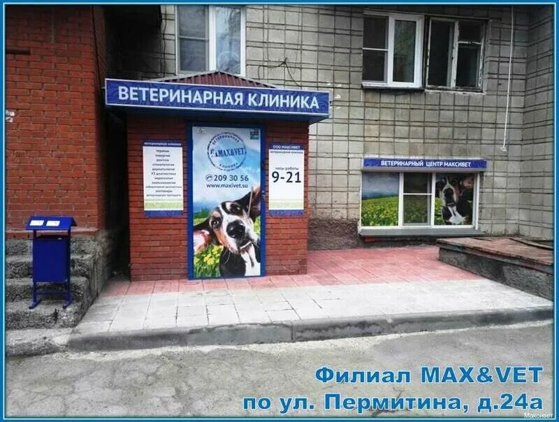 ветклиника панда в самаре революционная 135а. ветеринарная клиника обнинск на киевском шоссе. гагаринская ветклиника. гагаринская ветклиника. ветеринарный центр аврора ул гагарина 129.