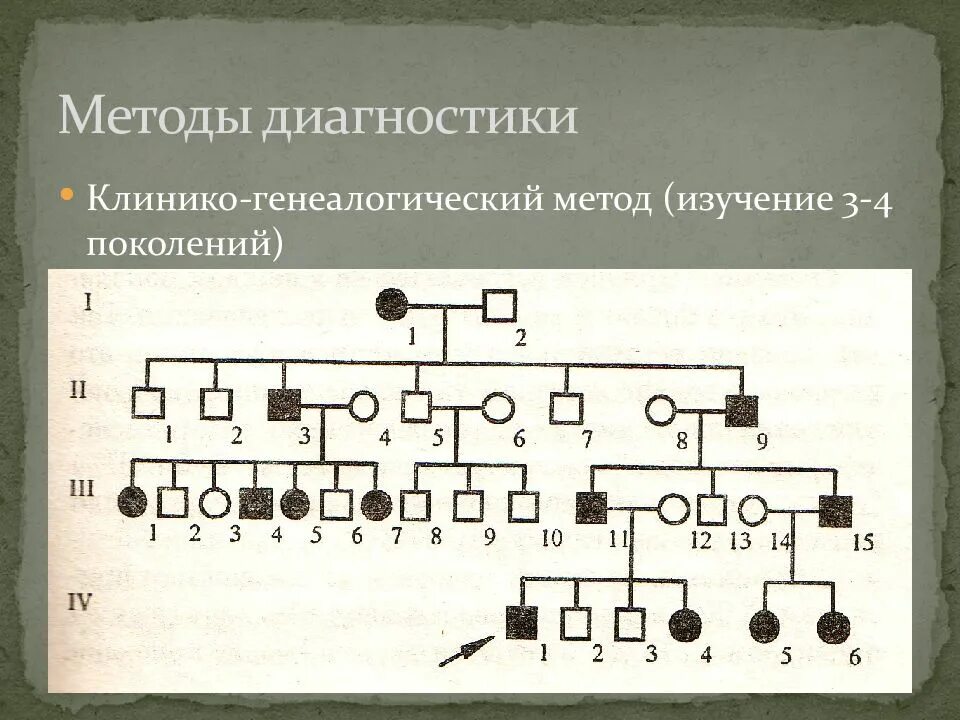 Генеалогический метод исследования используется. Клинико-генеалогический метод древо. клинико-генеалогический метод составление родословной. что такое клинико-генеалогический метод исследования. схема генеалогического метода.